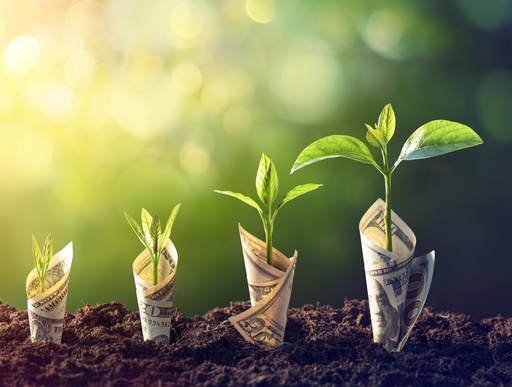 Sustainable Finance